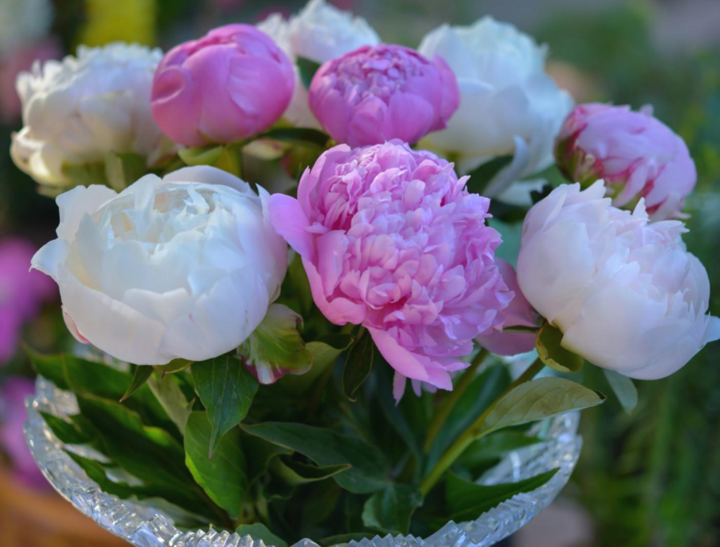 Floral arrangement detail showcasing texture and color balance
