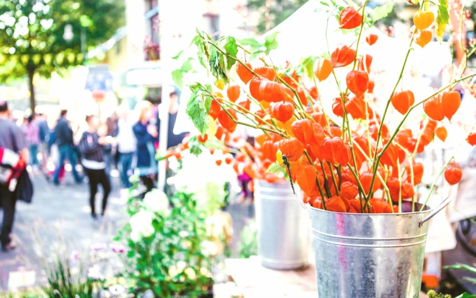 5 Grocery Store Flowers I Stopped Wasting Money On